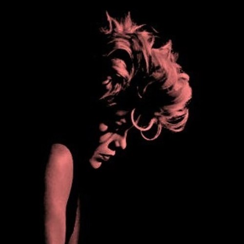 BestPinkLyrics's profile picture. Pretty, pretty please, if you ever, ever feel, 
Like you're nothing, you're fucking perfect to me

@Pink (Fuckin' Perfect)