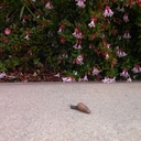 Austin Grady - @austinrgrady - Twitter