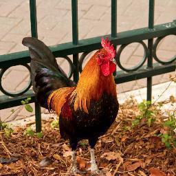 kejnie's profile picture. 