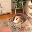 Doreen Bernier - @rhigetti - Twitter