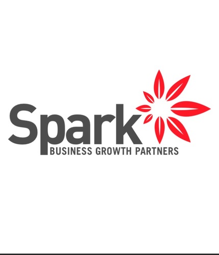 goSPARKpartners's profile picture. Our team of multi-disciplined professionals help domestic and international companies grow in Canada.