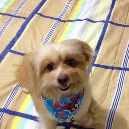 OdeValbuena's profile picture. MUJER, ADMINISTRADORA, VENEZOLANA, DEMOCRATA, AMANTE DE LOS ANIMALES Y LA NATURALEZA