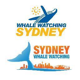 A joint twitter account by Sydney's two best whale watching companies: Whale Watching Sydney and Sydney Whale Watching with daily reports of whale sightings.