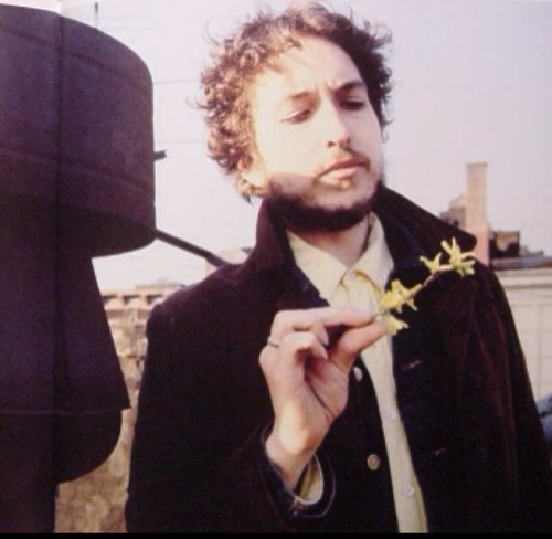 VilhelmFalck's profile picture. 