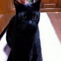 uch (@uch) Twitter profile photo