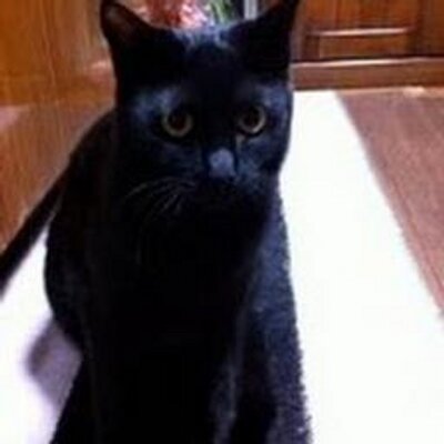 Uch また地震キタ