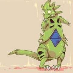 I-I'm a T-T-Tyranitar! T-Tyranitars sh-show no f-fear! E-Especially w-when th-they've got t-to protect someone like @Hunaahi!