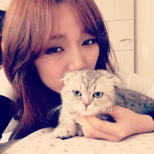 Verified Roleplayer Jia Miss A @HeyRolePlayers | 89line | Main Vocal, Main Rapper, Lead Dancer Miss A | #HRPArmy