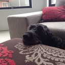 Joanna - @jo_crane - Twitter