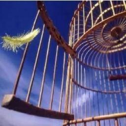 ForadosEixos's profile picture. Talvez a resposta que eu procuro esteja neste mundo fora dos eixos.