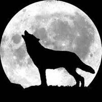 Howling Wolf Gifts (@ravenswolf521) 's Twitter Profile