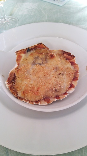 釣りの沼にハマりました、、、🥹