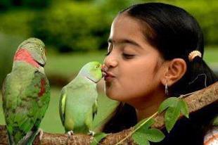 Connecting birdlovers
