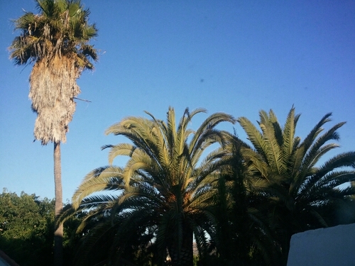 SaroRoser's profile picture. 