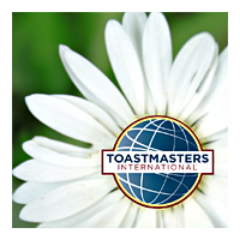 We meet on the 2nd and 4th Monday of each month at
Hibiscus Chinese & Malaysian Restaurant
60 Bryants Road, Shailer Park