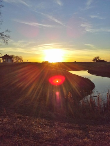 thedogz157's profile picture. 