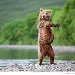 Kazzajj10's profile picture. 