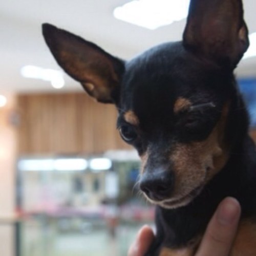 waitfor_rok's profile picture. 