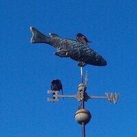 Frederick M. Warner IV (Rick) (@b38b38) 's Twitter Profile