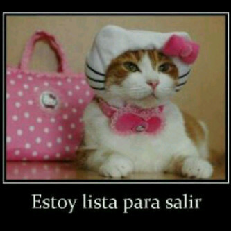 Consentida3x8's profile picture. 