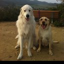 James McFee - @mcfee_james - Twitter