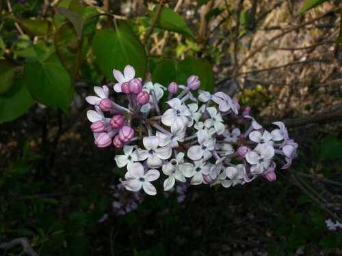 obh0206's profile picture. 