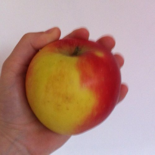 Hey! Wij tweeten iets wat jij moet doen en degene die als snelste een foto ' met je hand erbij ' stuurd krijgt een followback!