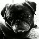 Bridget Morris - @BridgetMorris82 - Twitter