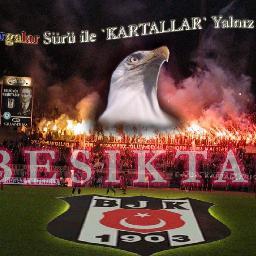 orhaneren16's profile picture. 