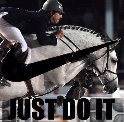 Follow ons voor een leuke paarden tl !!♥ Always Love Your Horse !♥ Since O9'1O'12 ♥