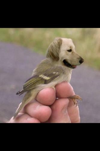 youngsachi's profile picture. 