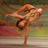 SeasideDance's profile image