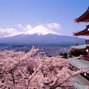 robert torche - @TorcheRobert - Twitter