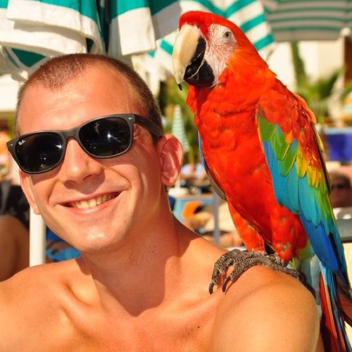 mrschillemans's profile picture. 