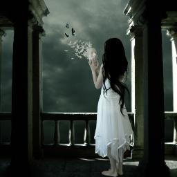 Mainiaci's profile picture. LOVE @tweetmainstreet MAINIAC TILL DEAD