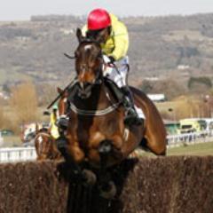 horse racing systems and trends