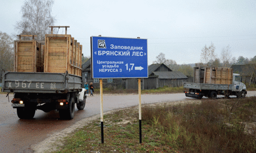 bryansk_les's profile picture. Заповедник Брянский лес - это 12 га природы без человека. Сотрудники заповедник охраняют, изучают, рассказывают о его важности и показывают его красоту.