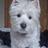 peterhobbister's profile image