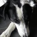 Geoff Baldwin - @yoda25101951 - Twitter