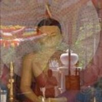 pawluscha nowotny (@pawluschan) 's Twitter Profile