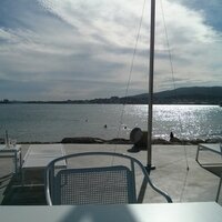 Marta Pisano (@pisano_marta) 's Twitter Profile