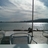 pisano_marta's profile image