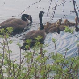 JayneRWatters's profile picture. Interfaith Ministries. Living Braver Interfaith Minustries