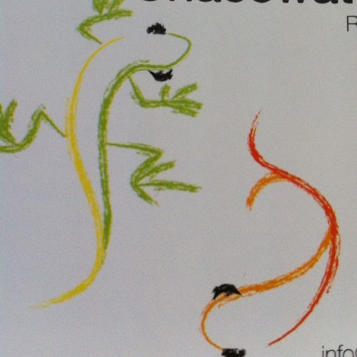 Chacewater_fish's profile picture. we have an established shop in Chacewater garden centre.We stock reptiles, coldwater and tropical fish. Also pond fish. A selection of dry goods and live food .