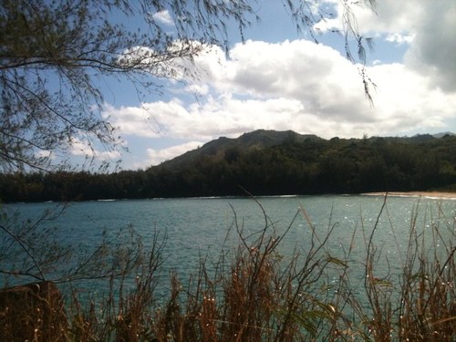 BohrerKeli's profile picture. 