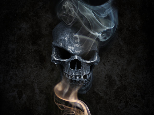 knino66's profile picture. 