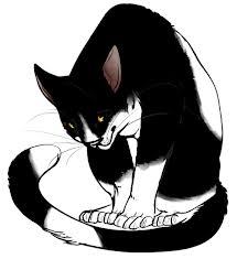 she cat, lives in fireclan.my mentor was spottedleaf.secretly trained 2 be medicine cat, now mecine cat of fireclan & Shadowclan. mom murdered by sol.