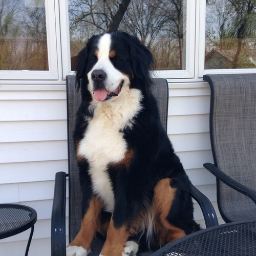 Hadley1Don's profile picture. 