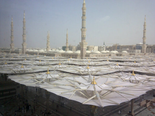 yaseenadam's profile picture. Student of knowledge