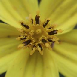 77joan77's profile picture. 